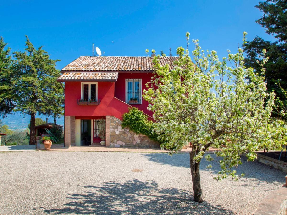 Holiday Home La Letizia By Interhome Collemancio Exteriör bild
